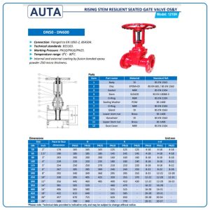 Cấu tạo kích thước Van Cổng Ty Nổi AUTA