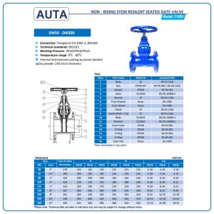 Cấu tạo kích thước van cổng ty chìm auta