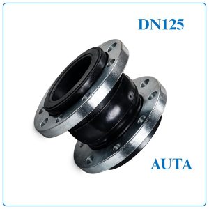 Khớp nối mềm cao su AUTA DN125