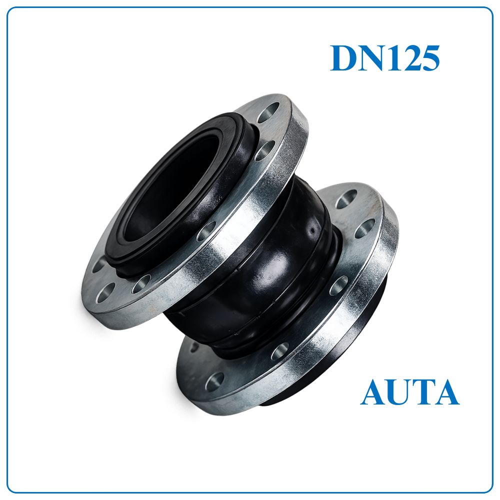 Khớp nối mềm cao su AUTA DN125