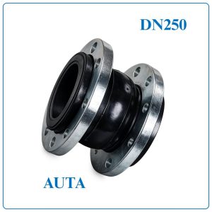 Khớp nối mềm cao su AUTA DN250