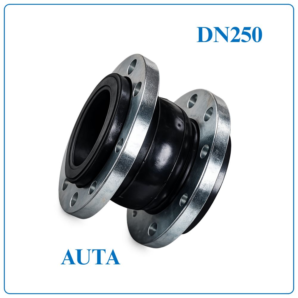 Khớp nối mềm cao su AUTA DN250