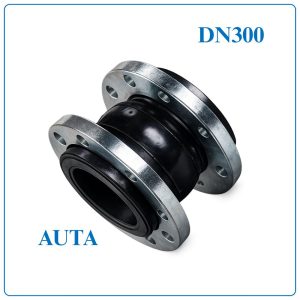 Khớp nối mềm cao su AUTA DN300