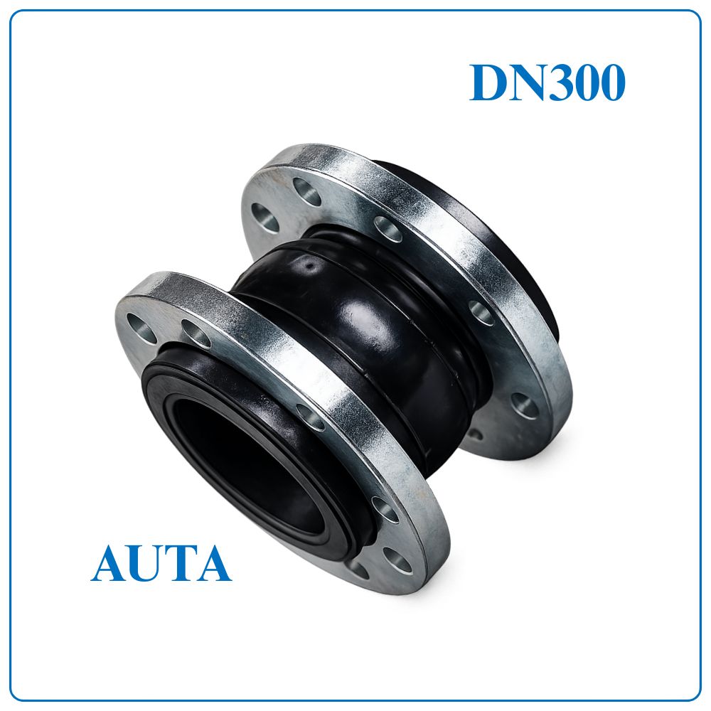 Khớp nối mềm cao su AUTA DN300