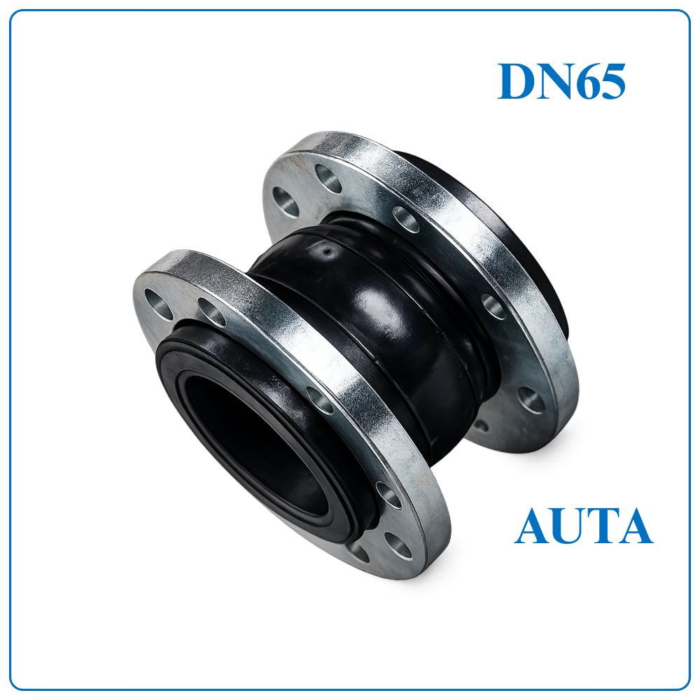 Khớp nối mềm cao su AUTA DN65