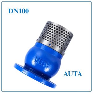 Rọ Bơm AUTA DN100