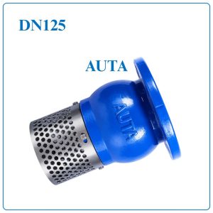 Rọ Bơm AUTA DN125