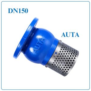 Rọ Bơm AUTA DN150