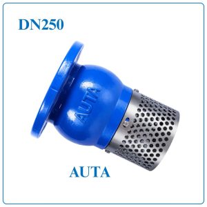 Rọ Bơm AUTA DN250