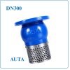 Rọ Bơm AUTA DN300