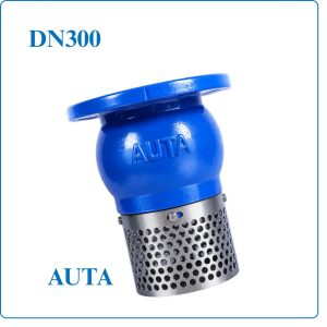 Rọ Bơm AUTA DN300