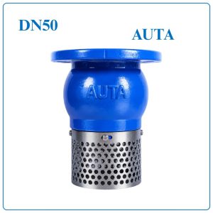 Rọ Bơm AUTA DN50