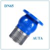 Rọ Bơm AUTA DN65