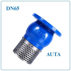Rọ Bơm AUTA DN65