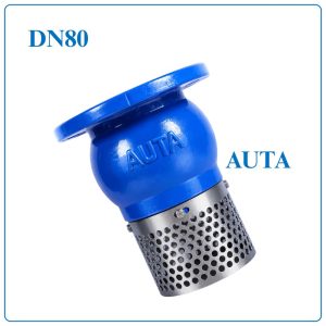 Rọ Bơm AUTA DN80