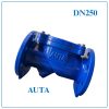 Van 1 chiều lá lật AUTA DN250
