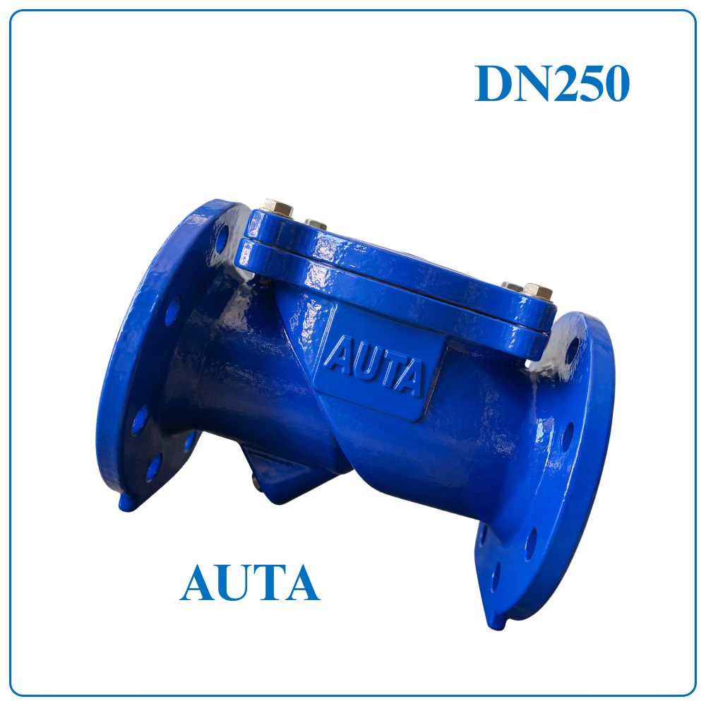 Van 1 chiều lá lật AUTA DN250