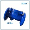Van 1 chiều lá lật AUTA DN65