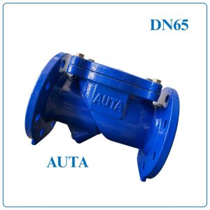 Van 1 chiều lá lật AUTA DN65