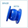 Van 1 chiều lò xo AUTA DN125