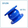 Van 1 chiều lò xo AUTA DN250