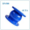 Van 1 chiều lò xo AUTA DN300