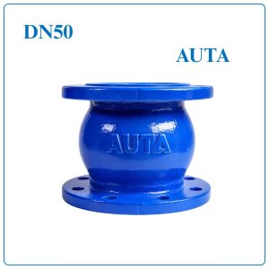 Van 1 chiều lò xo AUTA DN50