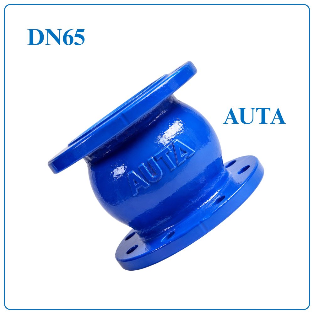 Van 1 chiều lò xo AUTA DN65