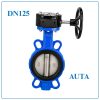 Van Bướm Tay Quay AUTA DN125