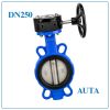 Van Bướm Tay Quay AUTA DN250
