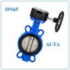 Van Bướm Tay Quay AUTA DN65