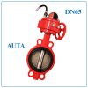 Van Bướm Tín Hiệu Điện AUTA DN65