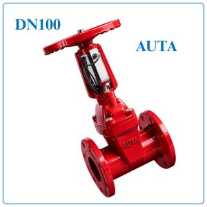 Van Cổng Tín Hiệu Điện AUTA DN100