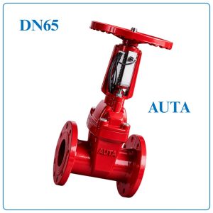 Van Cổng Tín Hiệu Điện AUTA DN65