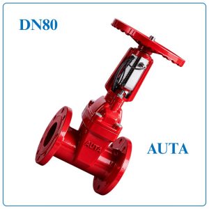 Van Cổng Tín Hiệu Điện AUTA DN80