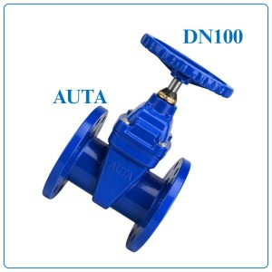 Van Cổng Ty Chìm AUTA DN100