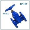 Van Cổng Ty Chìm AUTA DN125