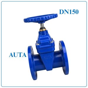 Van Cổng Ty Chìm AUTA DN150