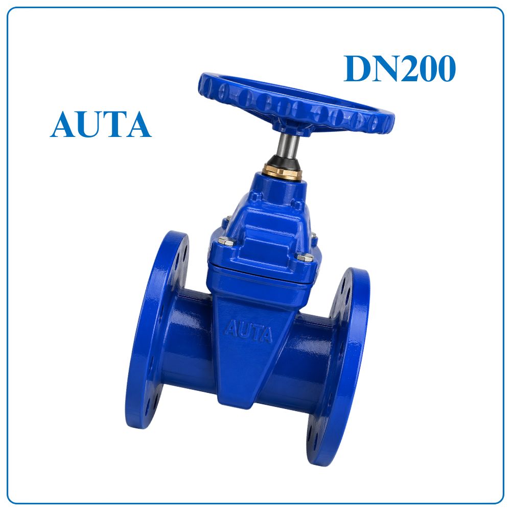 Van Cổng Ty Chìm AUTA DN200