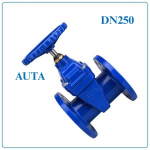 Van Cổng Ty Chìm AUTA DN250