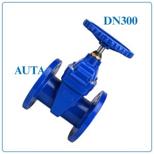 Van Cổng Ty Chìm AUTA DN300