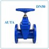 Van Cổng Ty Chìm AUTA DN50