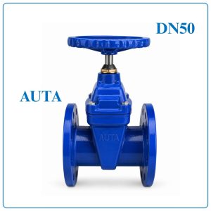Van Cổng Ty Chìm AUTA DN50