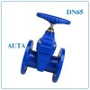 Van Cổng Ty Chìm AUTA DN65