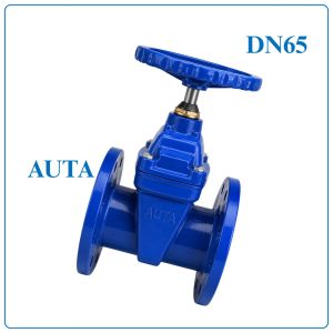 Van Cổng Ty Chìm AUTA DN65