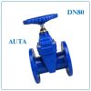 Van Cổng Ty Chìm AUTA DN80