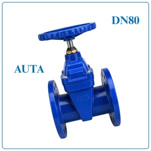 Van Cổng Ty Chìm AUTA DN80