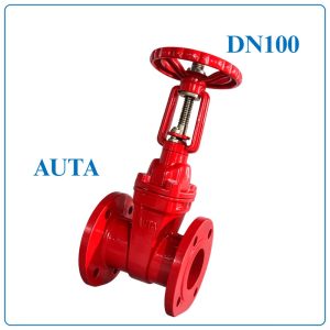 Van Cổng Ty Nổi AUTA DN100