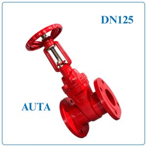 Van Cổng Ty Nổi AUTA DN125