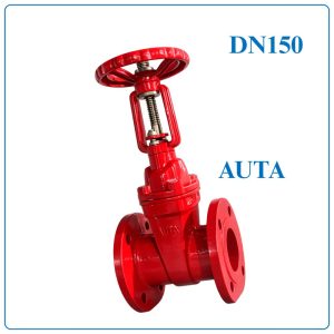 Van Cổng Ty Nổi AUTA DN150